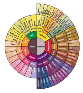 Kahve Kavurma ve Aroma Lezzet İlişkisi