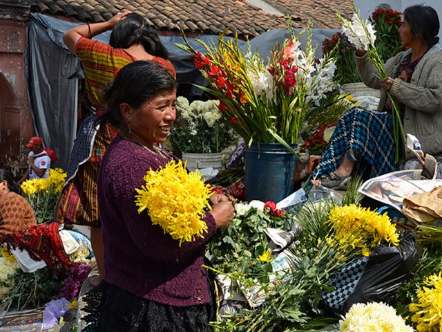 Guatemala Kahvesi