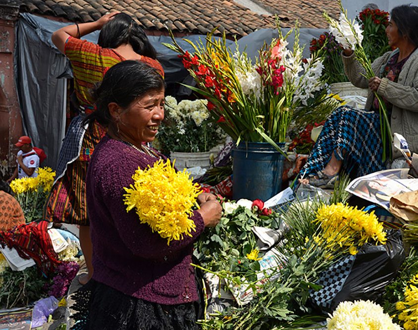 Guatemala Kahvesi